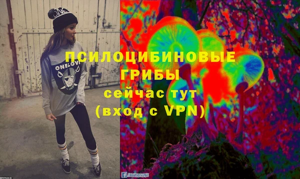 крисы Армянск