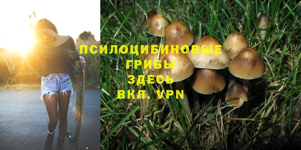 ПСИЛОЦИБИНОВЫЕ ГРИБЫ Пересвет