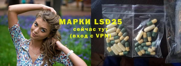 ПСИЛОЦИБИНОВЫЕ ГРИБЫ Пересвет