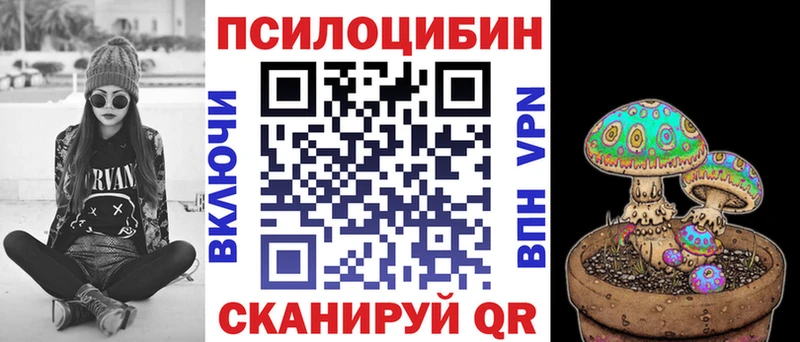 Псилоцибиновые грибы мицелий  Купить закладки  Балей 