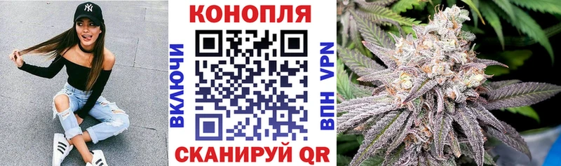 МАРИХУАНА AK-47 Купить закладки Балей